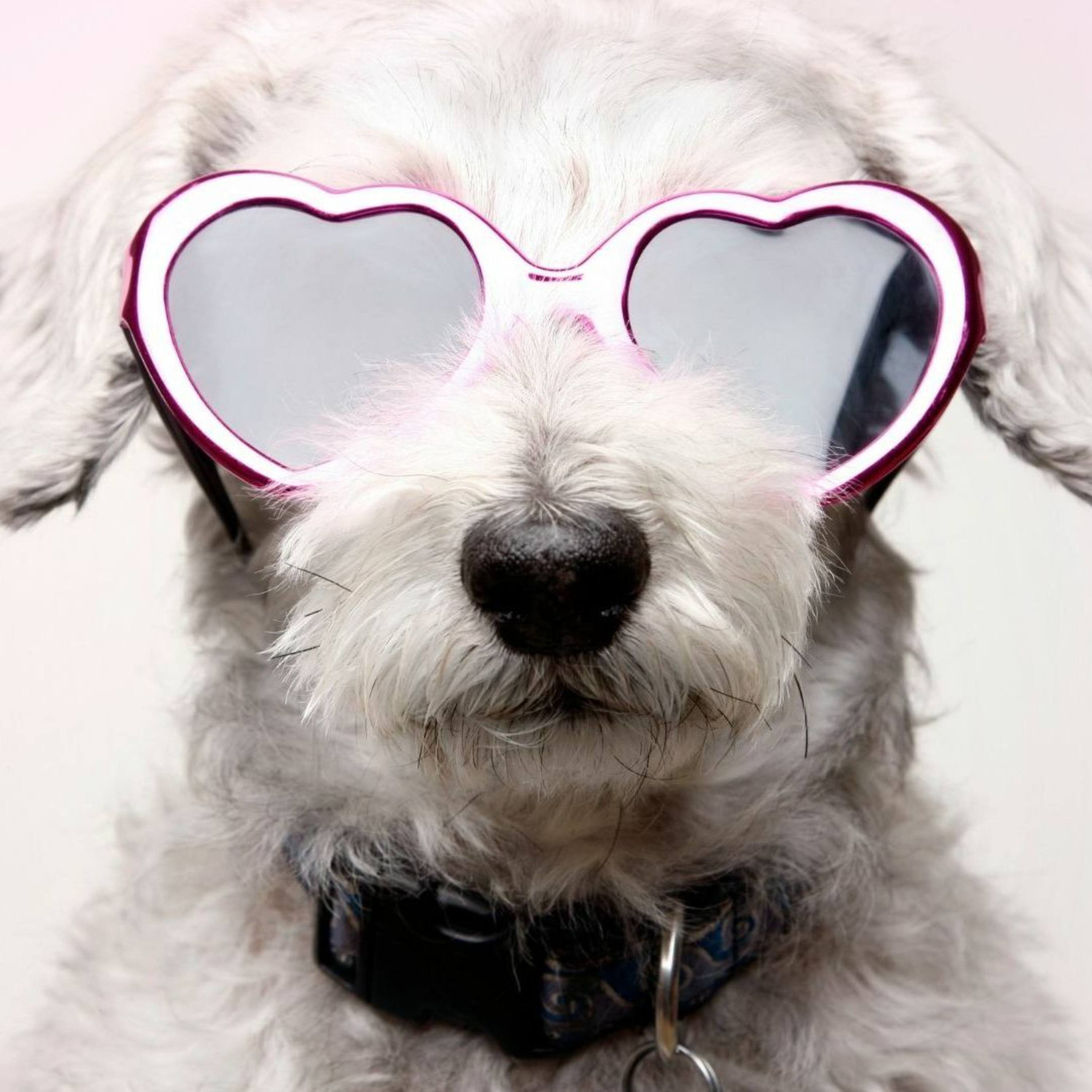 New Podcast Migration