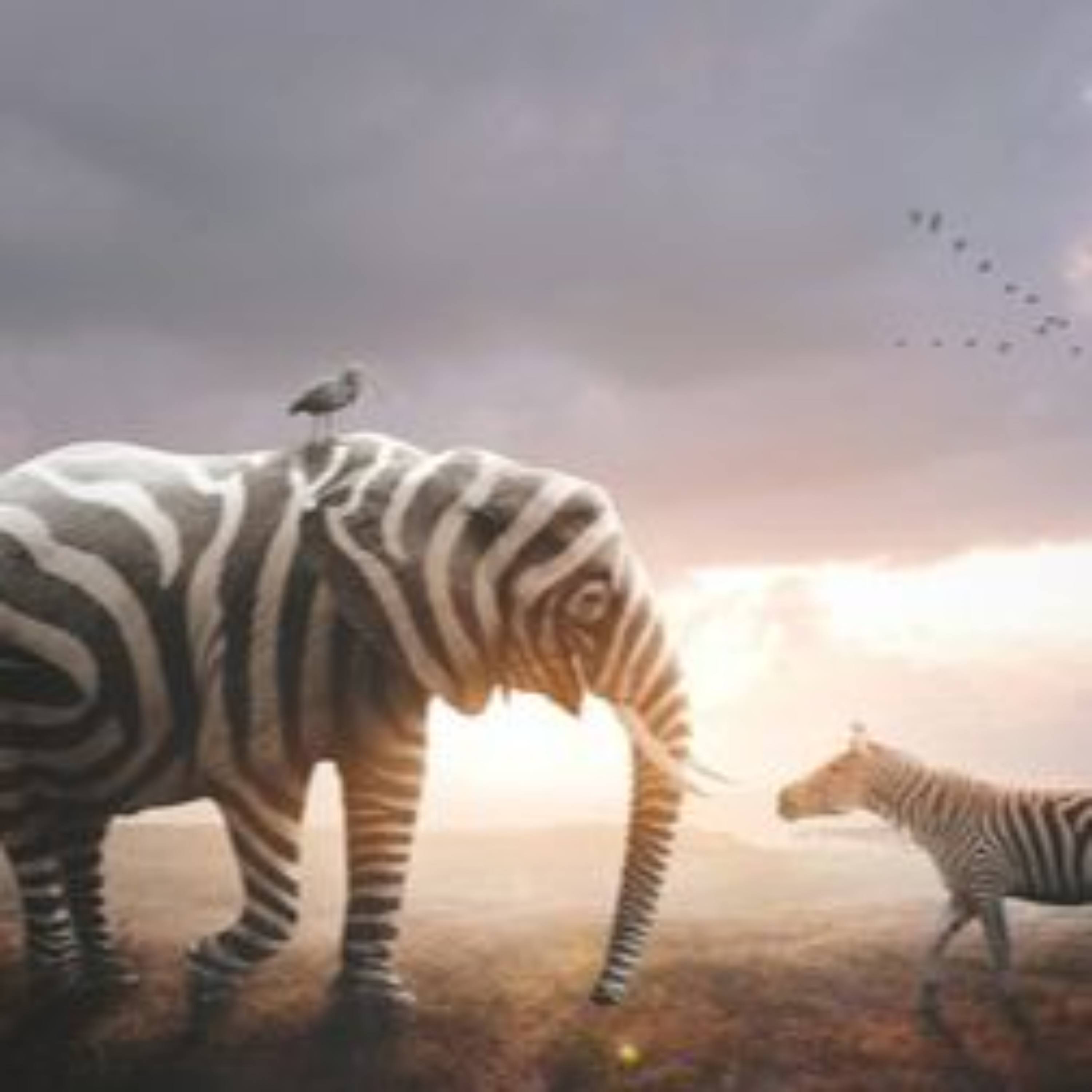 Podcast KJ-Uploader Public